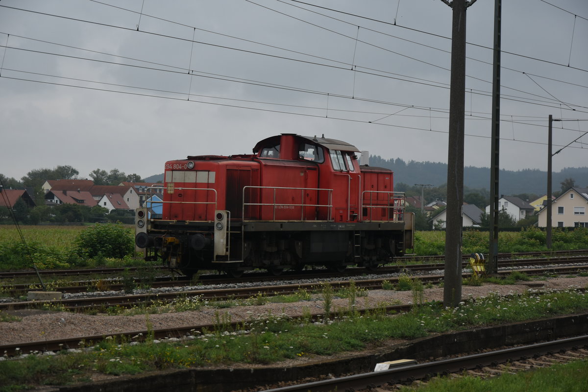 In Saal an der Donau steht die 294 804-0 abgestellt und wartet auf neue Arbeit. 3.9.2018