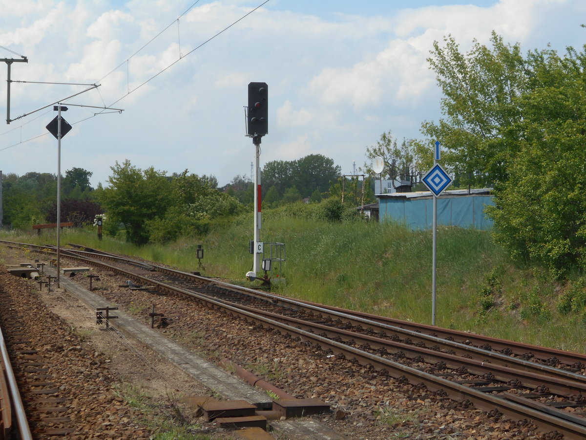 In Schwedt(Oder) gibt es auch noch die typischen DR Lichtsignale,wie das Ausfahrsignal C.Aufgenommen von einem Bahnübergang am 01.Mai 2019.