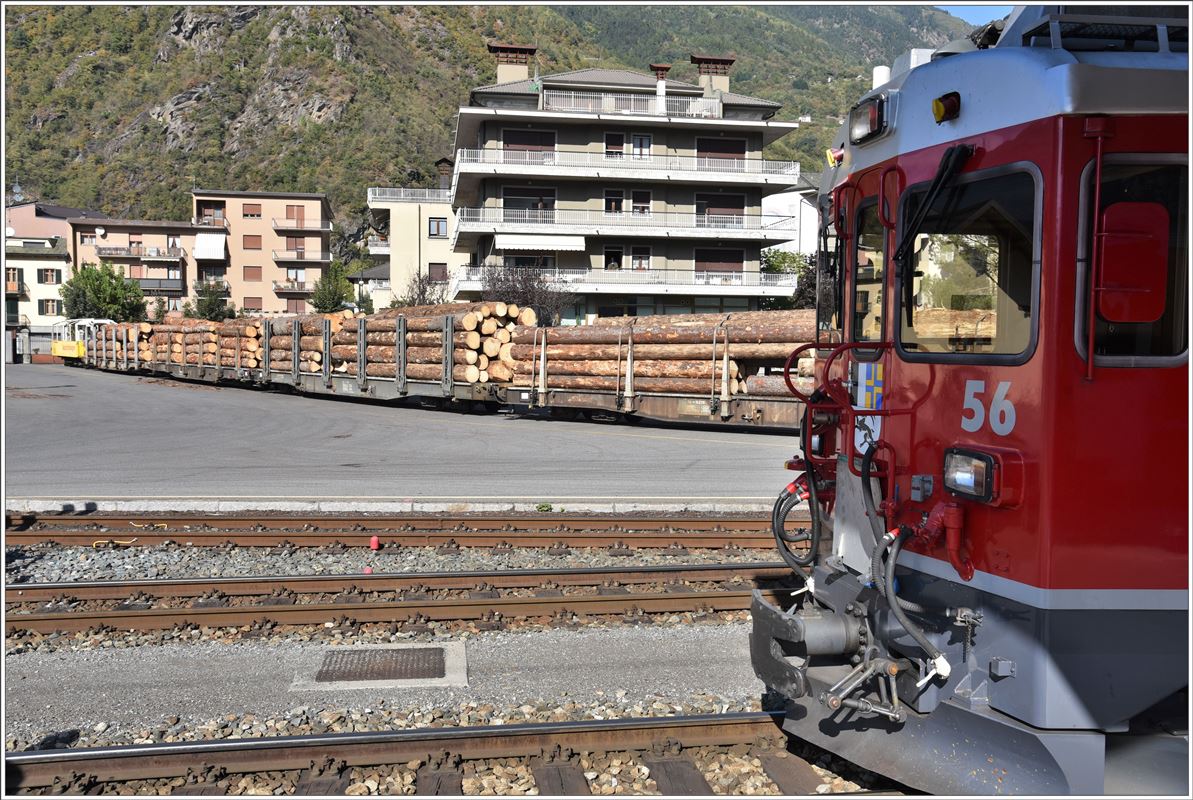 In Tirano wird viel Holz aus den Bündner Wäldern auf italienische Lastwagen umgeschlagen. R1660 mit ABe 4/4 III 56  Corviglia  wartet auf dei Abfahrt nach St.Moritz. (06.10.2016)
