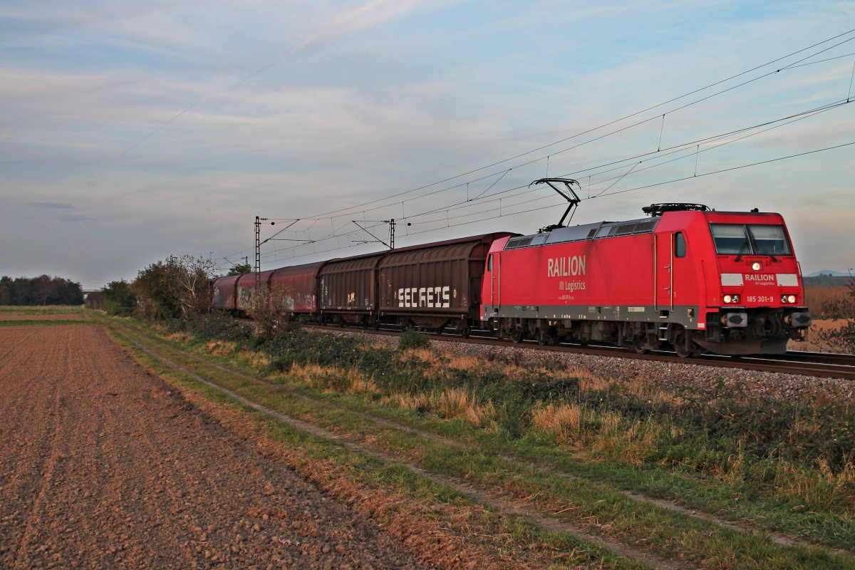 In der untergehenden Sonne des 31.10.2014 fuhr die Mannheimer 185 301-9 mit einem gemischten Güterzug bei Buggingen der Schweizer Grenze entgegen.
