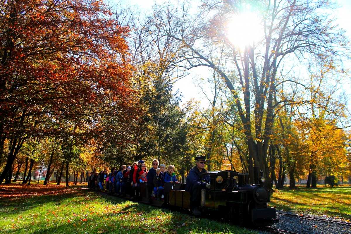 In  vollen  Zgen rauscht die Parkbahn des Dampfbahnclubs Graz rund ums Gelnde der Siegmund Freud Klinik. 26.10.2013