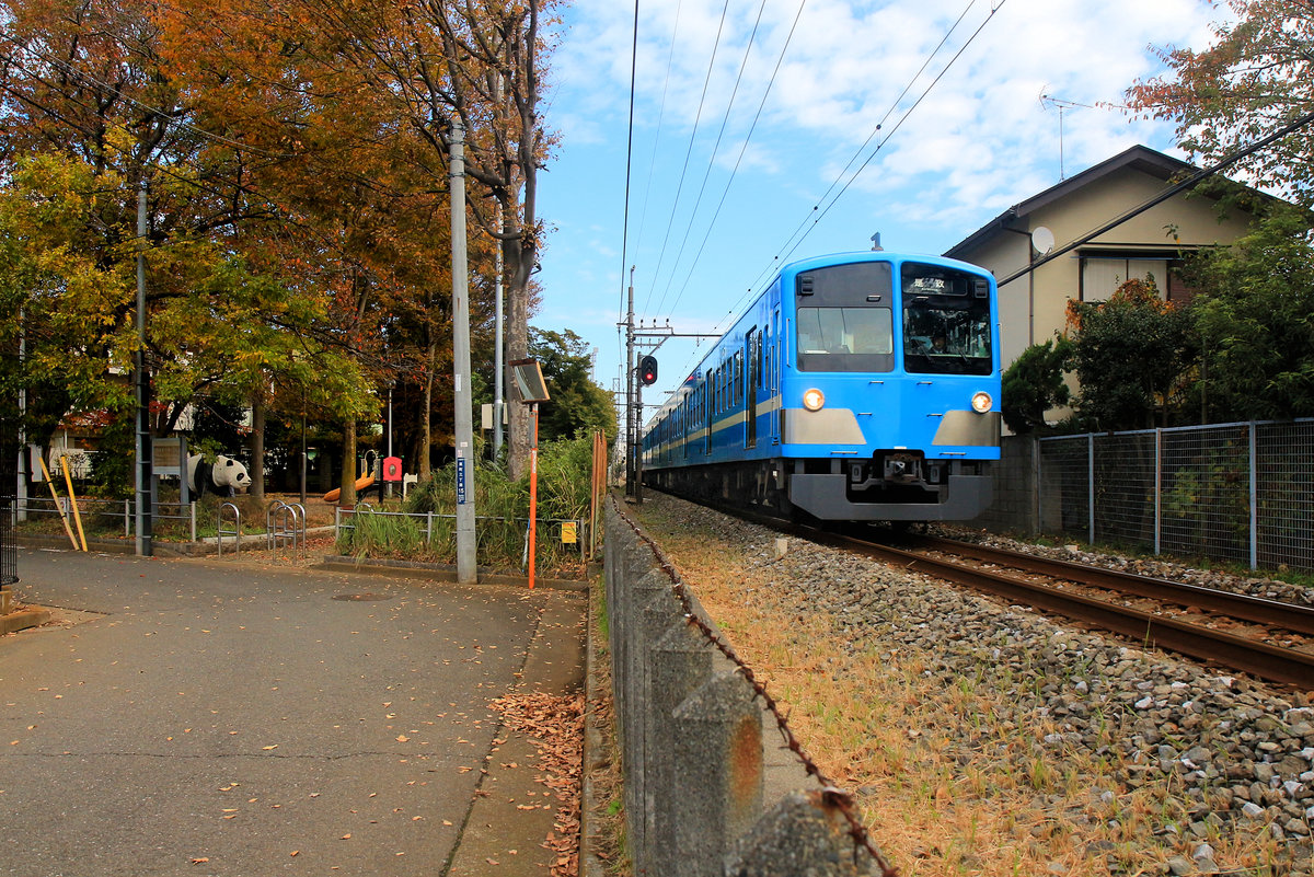 In den Vororten der Riesenstadt Tokyo: Seibu Konzern Zug 251/252 beim örtlichen Spielplatz. Seibu Tamagawa Linie, 14.November 2018 