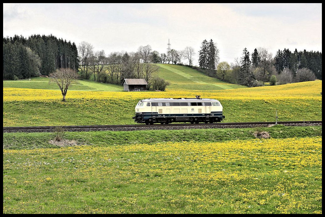 Inmitten blühender Löwenzahn Wiesen ist hier die DB 218446-3 am 2.5.2023 solo um 13.09 Uhr bei Görwangs in Richtung Kempten unterwegs.