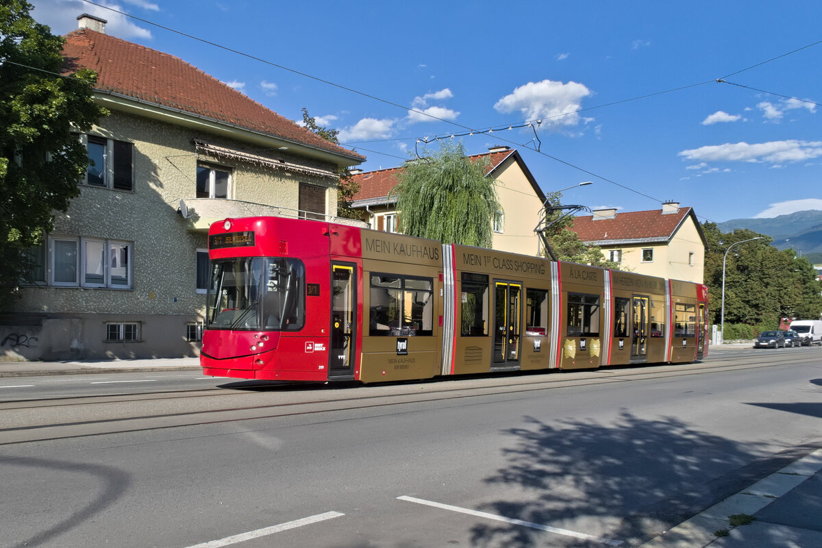Innsbruck: Wegen Gleisbauarbeiten in der Innenstadt wird die Linie 3 als kombinierte Linie 3/1 geführt. Tw. 319 in der Amraser Straße. Aufgenommen 2.8.2023.