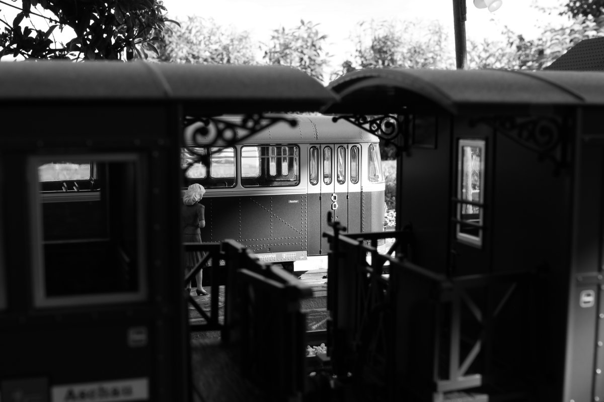 Ins rechte Licht gerückt ? 
15.August 2018 am Bahnsteig in Trassendorf. 
