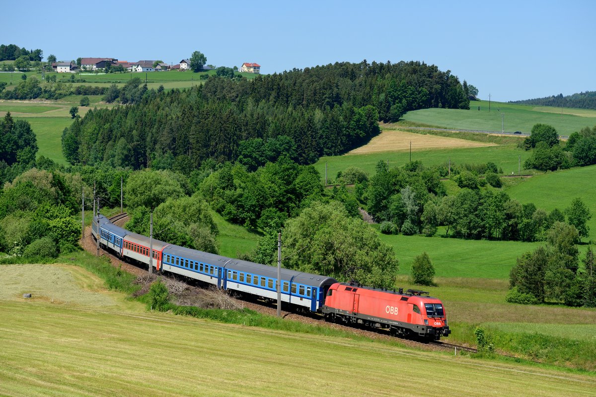  Inzwischen ziemlich zugewachsen ist der sogenannte Waldburger Bogen kurz vor Freistadt. Die morgendlichen und abendlichen Motiv-Varianten sind nicht mehr möglich, allerdings fahren zu diesen Zeiten auch keine interessanten Zugleistungen mehr. Am 06. Juni 2015 wartete ich nach Durchfahrt des Stahlzuges noch den R 1543  Anton Bruckner  von Praha hl.n. nach Linz HBF ab. Geführt wurde der Zug an diesem Tage von 1116.167, bei der sich nur die Fluchtluke für den Lokführer in gutem Lackzustand befindet.