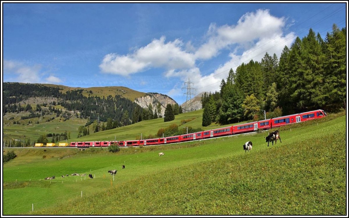 IR1145 nach Chur führt hinter dem ABe 8/12 drei Postcontainer mit, hier oberhalb Bergün. (30.09.2019)