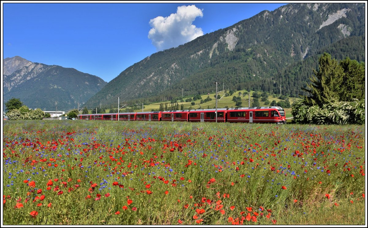 IR1157 nach St.Moritz mit ABe 8/12 3511 zwischen Felsberg und Domat/Ems. (01.06.2020)