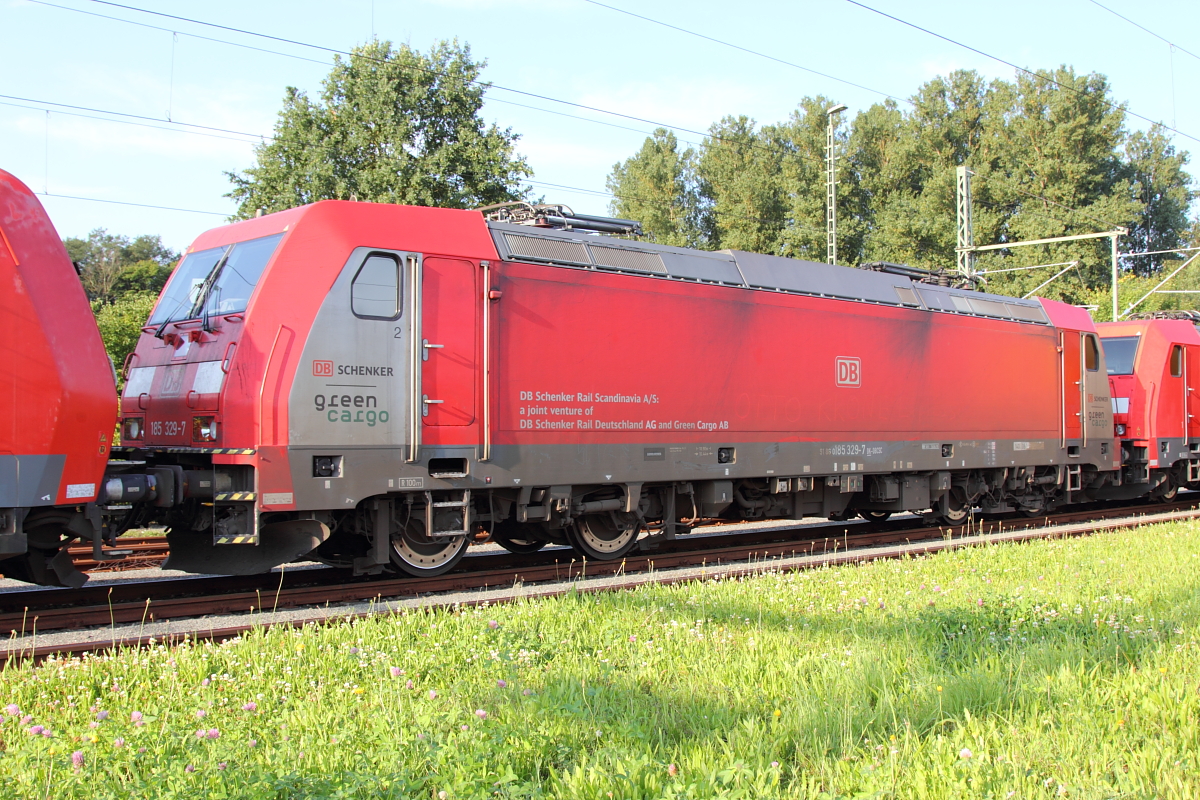 Irgendwie passend - 185 329-1 DB green cargo am grünen Bahnsteig in Hochstadt/ Marktzeuln am 28.08.2017.