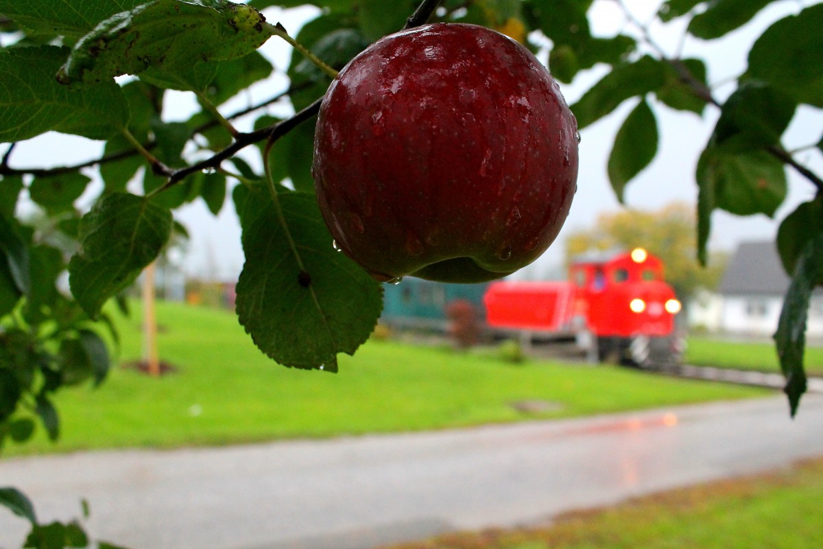 Ja ich gebs zu ,..... Das nennt man Ideenklau! Aber mir hat die Idee so gut gefallen das ich es auch mal versuchen musste ! Und nachdem der Apfel frisch gewaschen wurde durch den strmenden Regen musste ich wirklich reinbeissen :-) MK48.2019 wartet in der Halte und Ladestelle Herbersdorf auf die weiterfahrt mit Ihren Gsten. 10.Oktober 2013