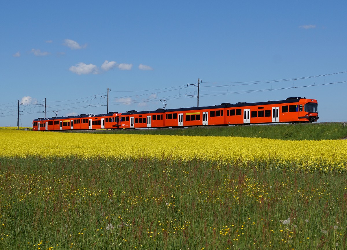 JAHRESRUECKBLICK 2013 VON WALTER RUETSCH.
MONAT MAI: RBS-RE Solothurn-Bern mit Doppeltraktion ABe 4/12  LA PRIMA  bei Schalunen am 14. MAI 2013.