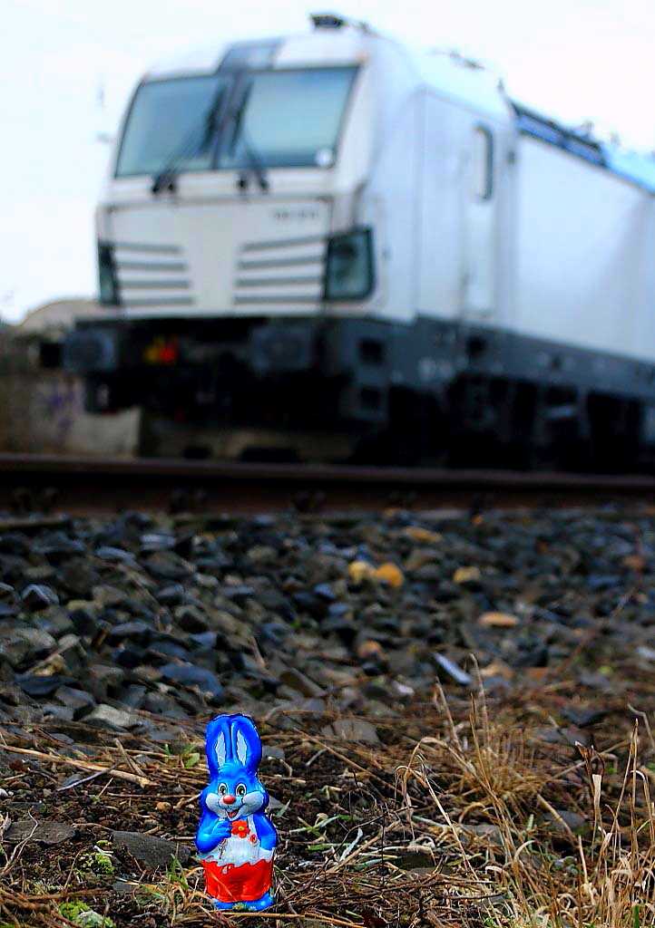 Jahreszeitlich bedingt muß der Eisenbahnfotograf momentan mit Langohren rechnen, die ihm durchs Bild hoppeln, so wie hier am 11.03.2016 in Nievenheim. Da spielt sogar der Autofokus verrückt und mit der geplanten Aufnahme der Vectron wurde es nichts. Frohe Ostern!