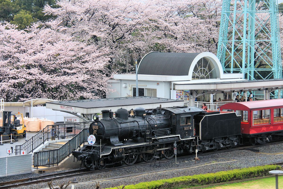 Japanische Dampflokomotiven Typ 8620: Diese Personenzug-Loks bilden die erste Gross-Serie von Triebfahrzeugen, die vollständig in Japan gebaut wurden, 1914-1929. Achsfolge 1-C, 48,83 t schwer, 759 PS; sie waren ideal für kurvenreiche und steile Strecken. 672 Loks (8620-8699, 1-8620 bis 1-8699, 2-8620 bis 2-8699 usf. bis 8-8651) entstanden für das Innenministerium (später Japanische Staatsbahn), 2 Loks für die Landentwicklungs-Eisenbahn Hokkaidô (8621/2), 15 Loks für die Insel Sachalin (8-8652 bis 8-8866), und 43 Loks für Taiwan (später CT 151 – CT 193 und CT 194 aus Teilen von Abbruchloks). Berühmt wurde das Bild der 2-8697 mit einem Evakuierungszug beim Grossen Erdbeben von Tokyo 1923, bei dem Zehntausende sich für die Flucht an die Züge und Loks klammerten. 1972 verblieben noch 41 Loks, die letzte schied 1975 aus. Im Bild die im Eisenbahnmuseum Kyôto betriebsfähig erhaltene Lok 8630. 8.April 2017.  