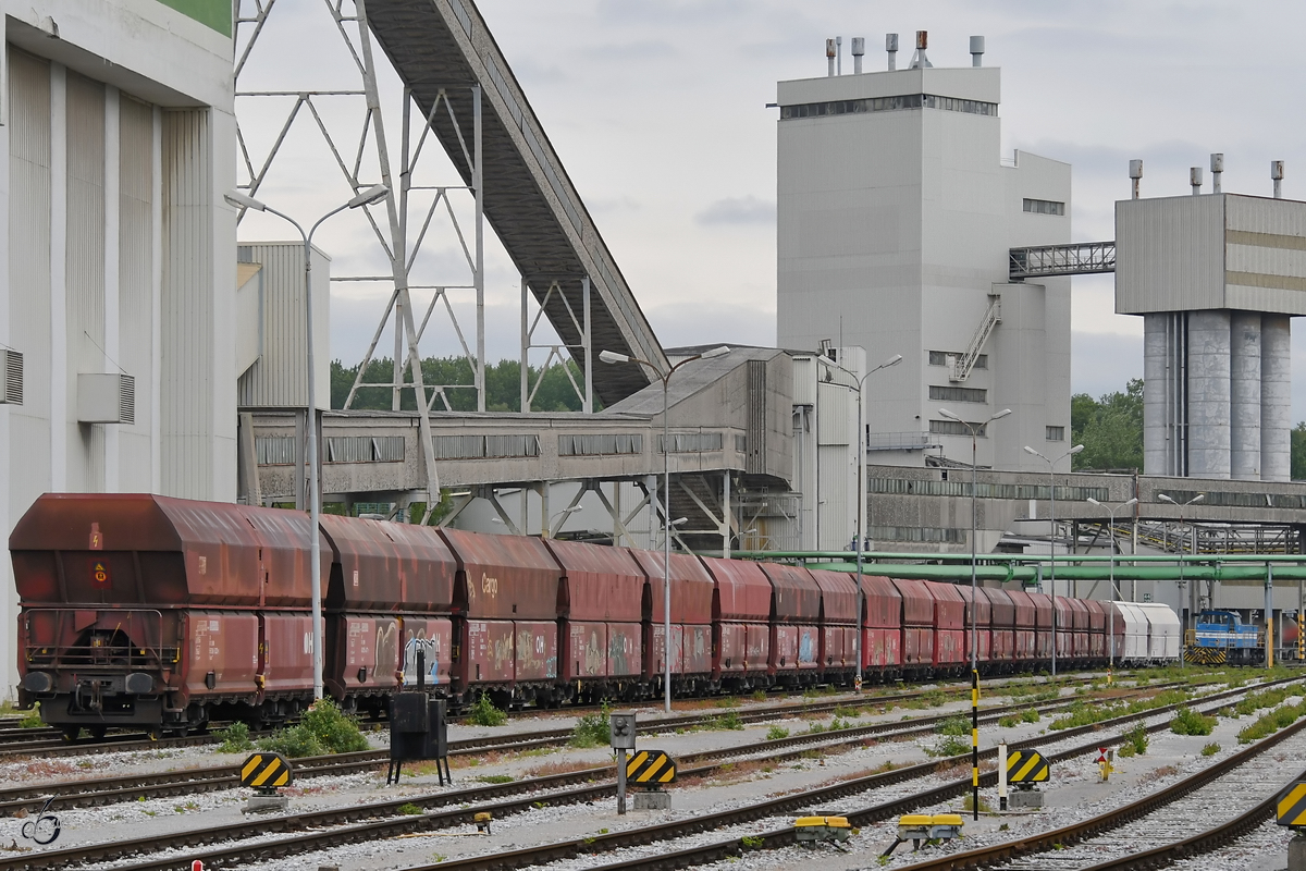 Jede Menge gedeckte Drehgestell-Schüttgutwagen mit schlagartiger Schwerkraftentladung standen Mitte Mai 2019 auf dem Gelände des Kalkwerkes Flandersbach in Wülfrath-Rohdenhaus.