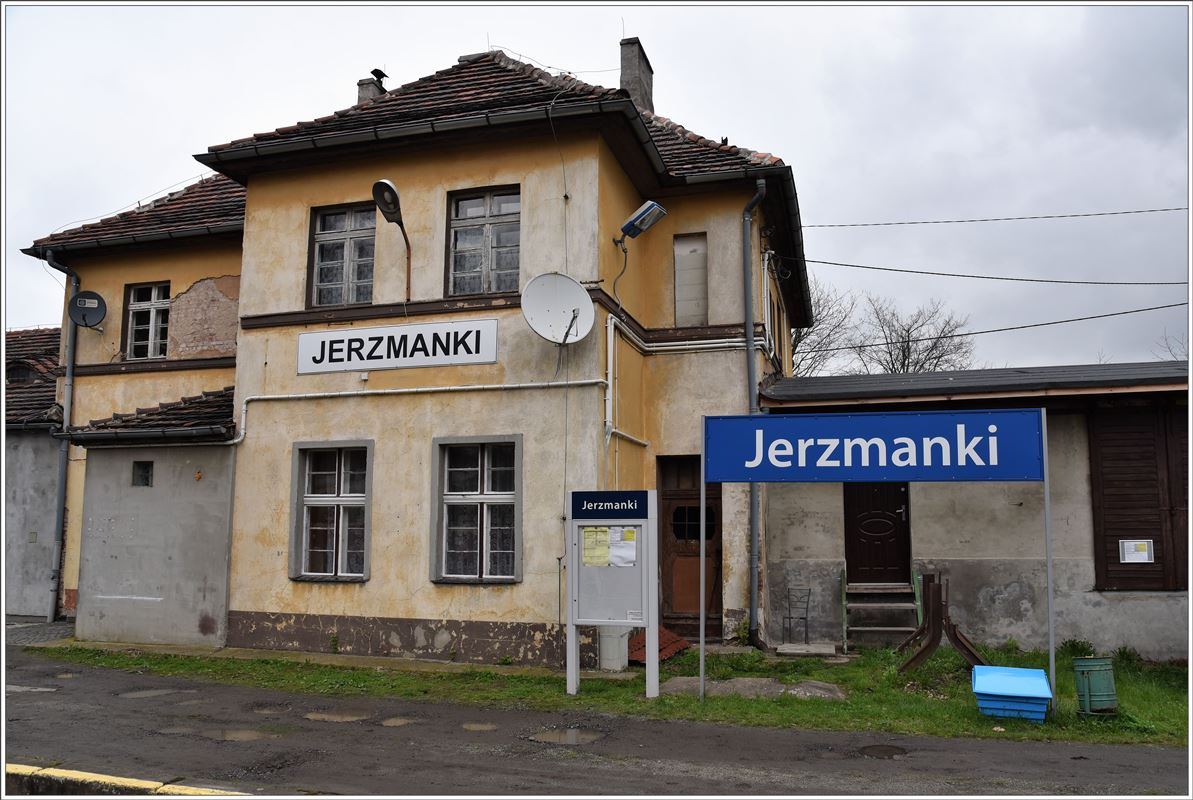 Jerzmanki kann man nicht verfehlen. (08.04.2017)