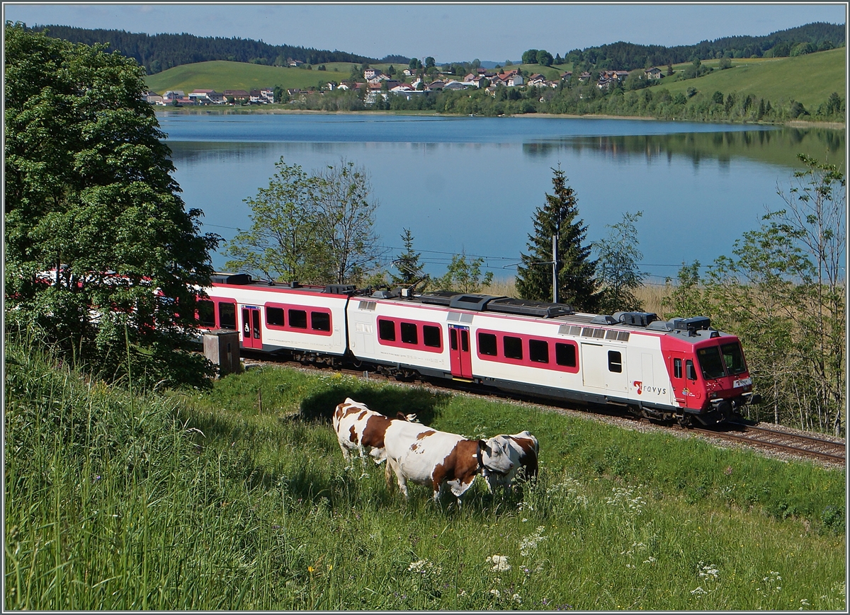 Jetzt bin ich doch noch zu einem Kuh-Bahnbild gekommen: Drei Linsenputzer fressen was ihnen schmeckt, während der Travys Regionalzug 6015 erreicht in Kürze Le Pont.
3. Juni 2015