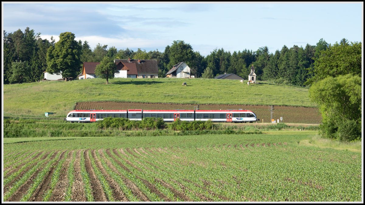 Jetzt schießt der Mais in den Himmel . 

Seit letzter Woche ( 25.05.2020 ) sind es geschätzte 10 cm. 

Ein GTW 2/8 vor einem ländlichen Idyll bei Bergla 