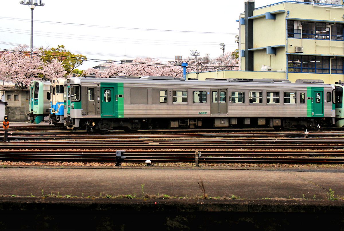 JR Shikoku Serie 1200 sind 18 ehemalige Wagen der Serie 1000, deren Kupplungen u.a. für den Betrieb mit den neuen Triebwagen Serie 1500 angepasst wurden. Sie erhielten dabei einen teilweise grünen Anstrich. Im Bild steht Wagen 1229 vor dem Betriebswerk Tokushima, neben Triebwagen der Serien 47 und 1500. 3.April 2015. 