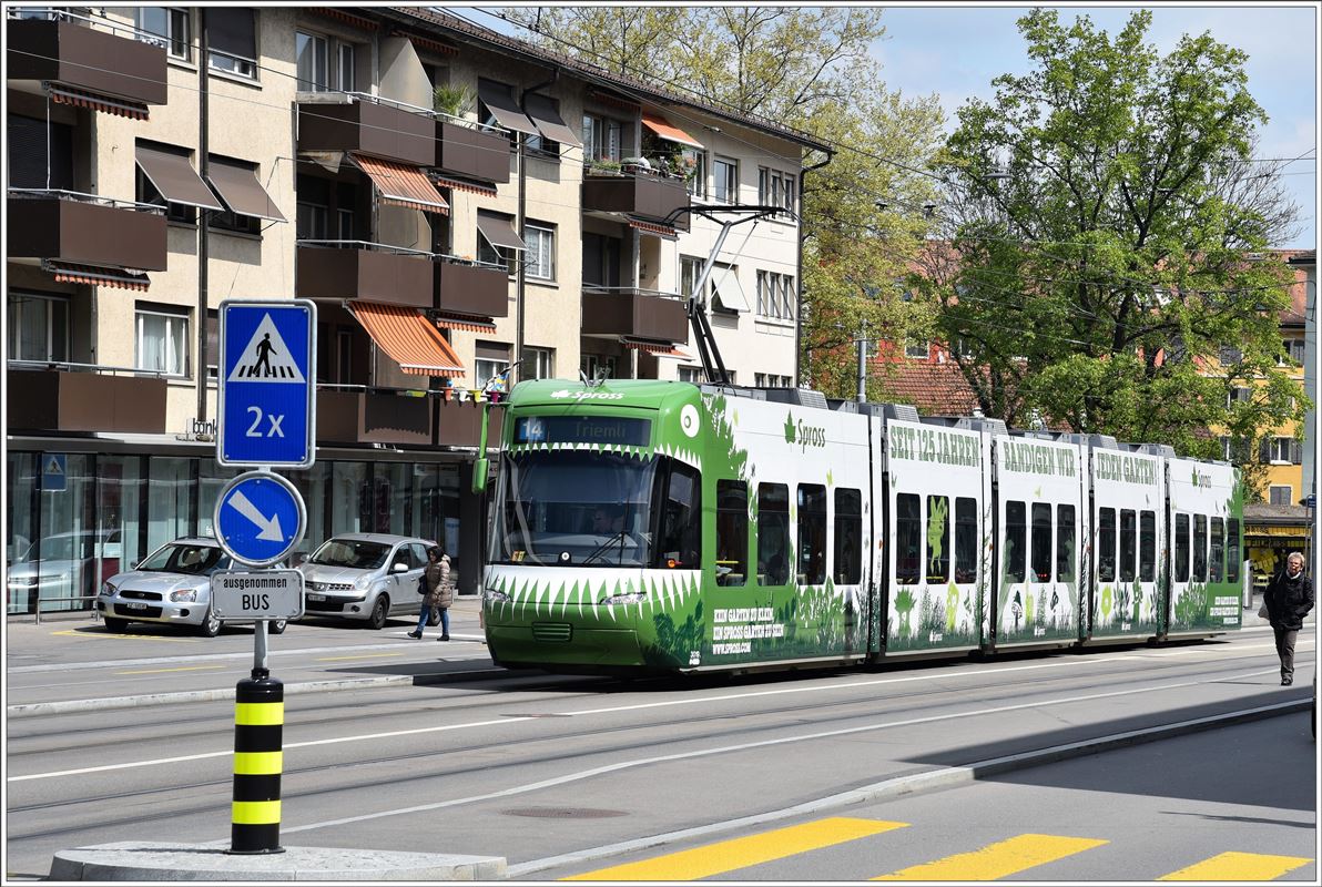 Jubiläumstram 3019 der Gartenbaufirma Spross auf der Birmensdorferstrasse. (20.04.2017)