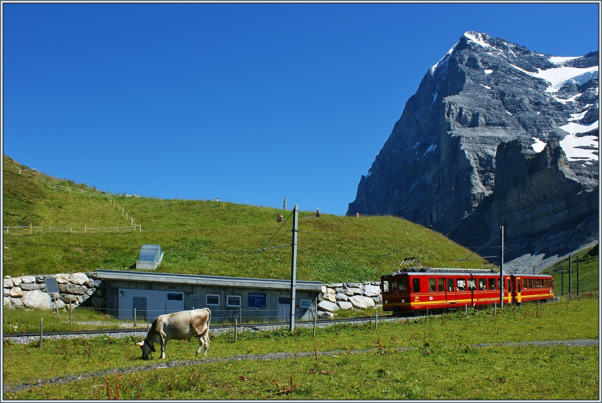 Jungfraubahnzug vor der Kulisse der Eigernordwand.
(21.08.2013)
