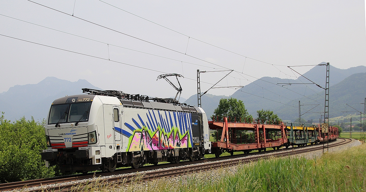 Kann man ein Zebra-Design noch verbessern? Man kann sich drüber streiten. 193-772 am 20.06.2021 bei Bernau mit individueller Deko.