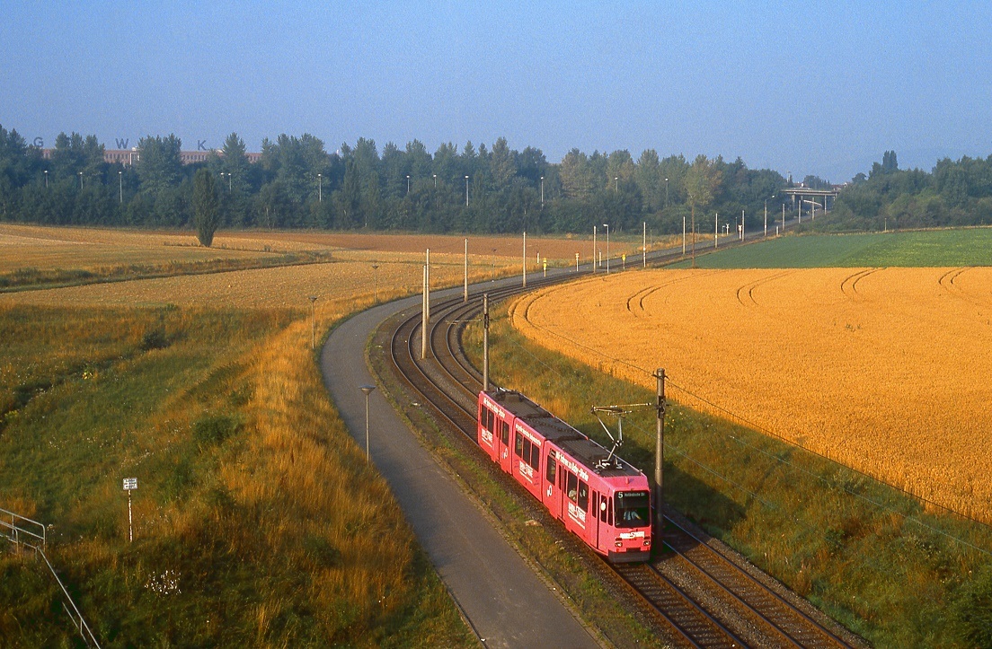 Kassel 409, Oberzwehren, 07.08.1988.
