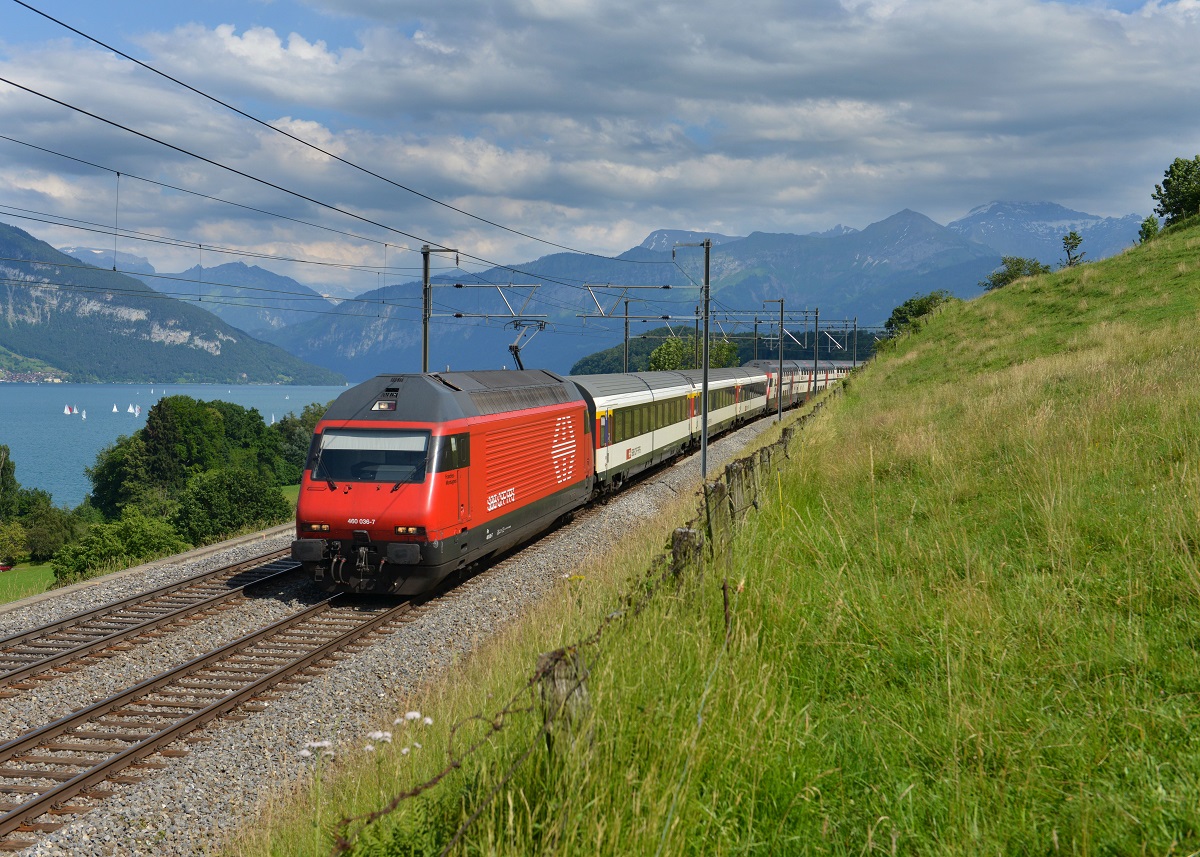 Kaum ist sie entklebt fährt sie mir vor die Linse: Re 460 036 (ex My Switzerland) mit einem IC nach Romanshorn am 20.06.2014 bei Einigen.