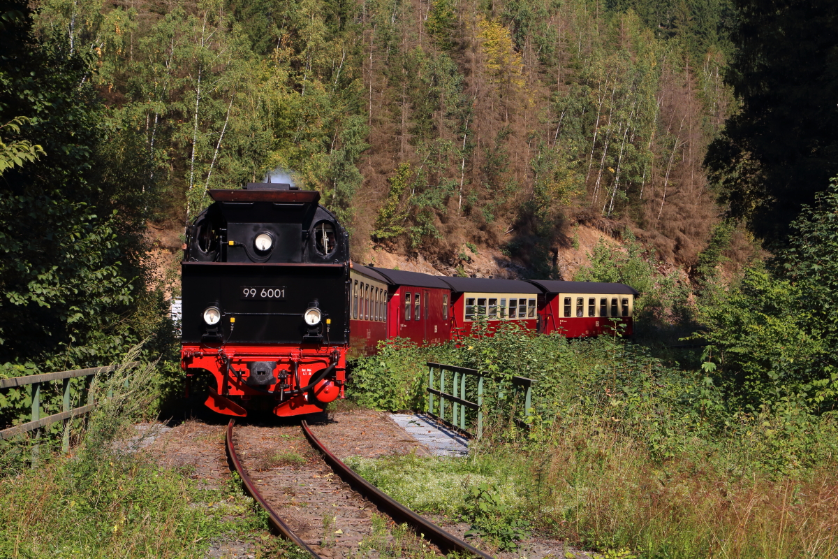 Kaum waren wir am späten Nachmittag des 31.08.2019, nach eiliger Fahrt mit dem Auto, am neuen Fotostandort an der Brücke über das Flüßchen  Bere , unterhalb des Unterberger Steinbruchs und kurz vor dem Bahnhof  Eisfelder Talmühle  angekommen und hatten Position bezogen, rollte uns auch schon wieder 99 6001 mit P 8967 (Hasselfelde-Eisfelder Talmühle) entgegen.