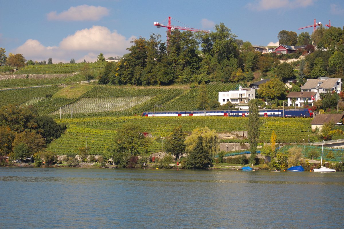 Kein Wunder das der Bahnfotograf dieses Bildes Baukräne gar nicht mag.
Eine Re 450 im Lauvaux?? Falsch, sicher nicht! Eine modernisierte Re 450 war am 27. August 2017 bei einem kleinen Weinbaugebiet zwischen Meilen und Feldmeilen unterwegs. Das Bild entstand auf einem Schiff von ZH Bürkliplatz-Rapperswil, auf dem  Zürisee .