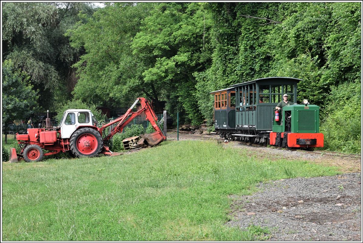 Kemencei Erdei Múzeumvasút, Kemence - Feketevölgy Panzió. Lok Nr 7 mit zwei Personenwagen auf dem Weg nach Feketevölgy. (09.06.2018)