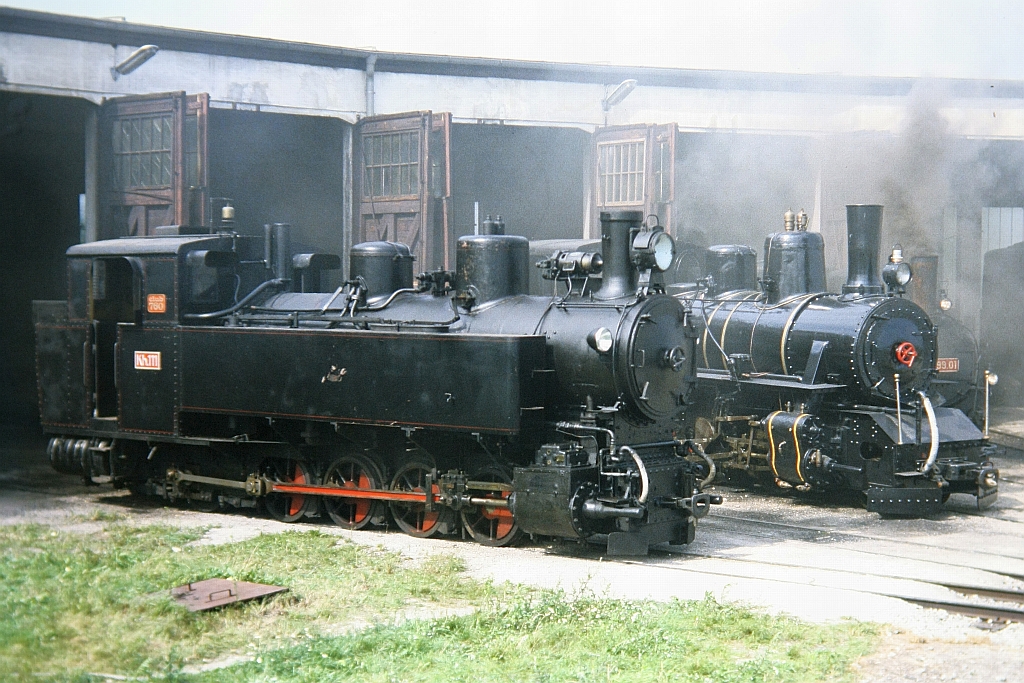 Kh 111 des Club 760 w�rend der Feierlichkeiten  100 Jahre Schmalspurbahnen in �sterreich  vom 11. bis 15. August 1989 vor dem Ringlokschuppen in Obergrafendorf. (Diascan)