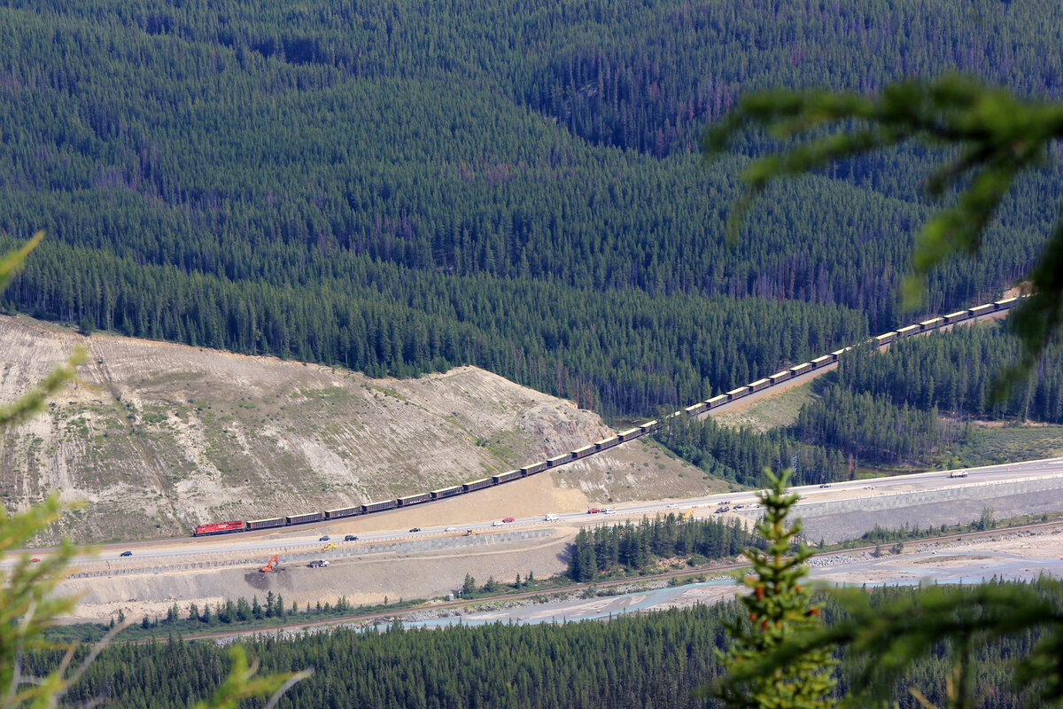 Klein, aber lang: CP-G�terzug in Richtung Kicking Horse Pass vom Little Beehive oberhalb Lake Louise aus gesehen. Lake Louise, 10.8.2012