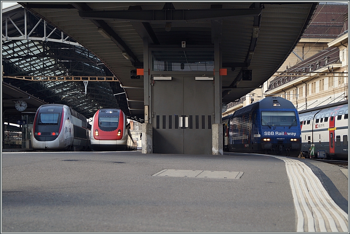 Klein die Welt der Mäuschen und gross der Bahnsteig in Lausanne - ein Mäuschen-Blick in die  weite, unerreichebare Welt: TGV Lyria nach Paris, ICN von Basel und SBB Re 460  RailAway  mit IR nach Brig.
5. März 2014