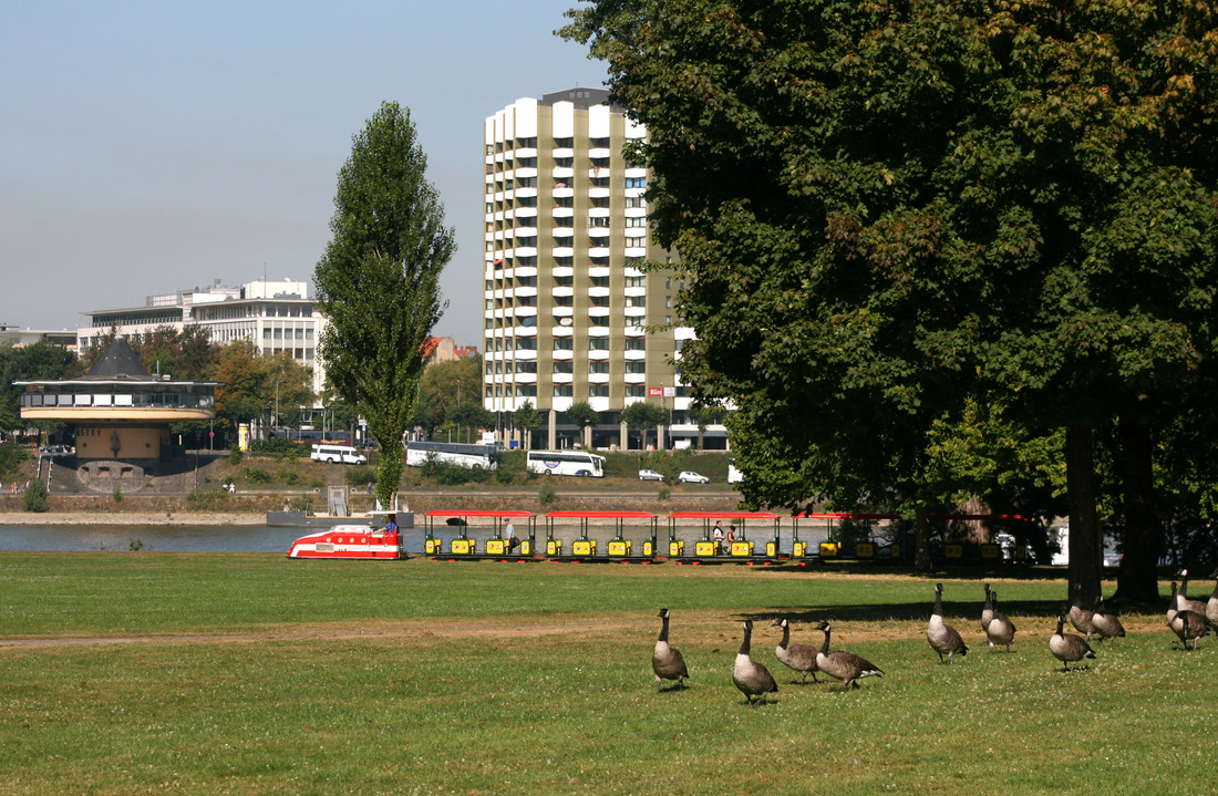 Kleinbahn im Rheinpark // Köln // 8. September 2012
