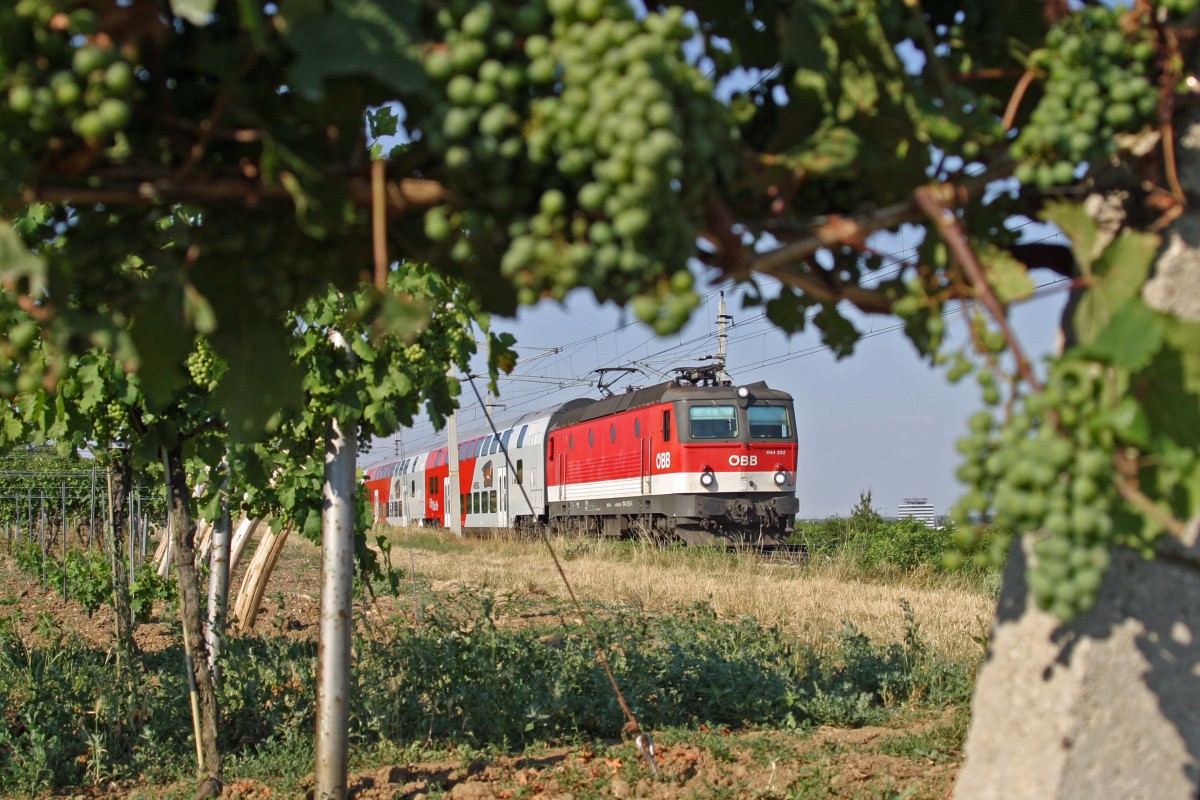Kleine Spielerei in den Weinbergen bei Pfaffstätten mit 1144.252 am R-2251, wobei das Blatt im Loch reiner Zufall war. 22.7.15