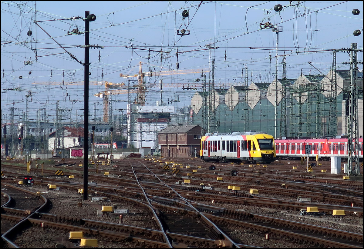 Kleiner Zug im großen Vorfeld -

Ein Lint 41-Dieseltriebzug der HLB im Vorfeld des Frankfurter Hauptbahnhofes.

25.03.2017 (M)