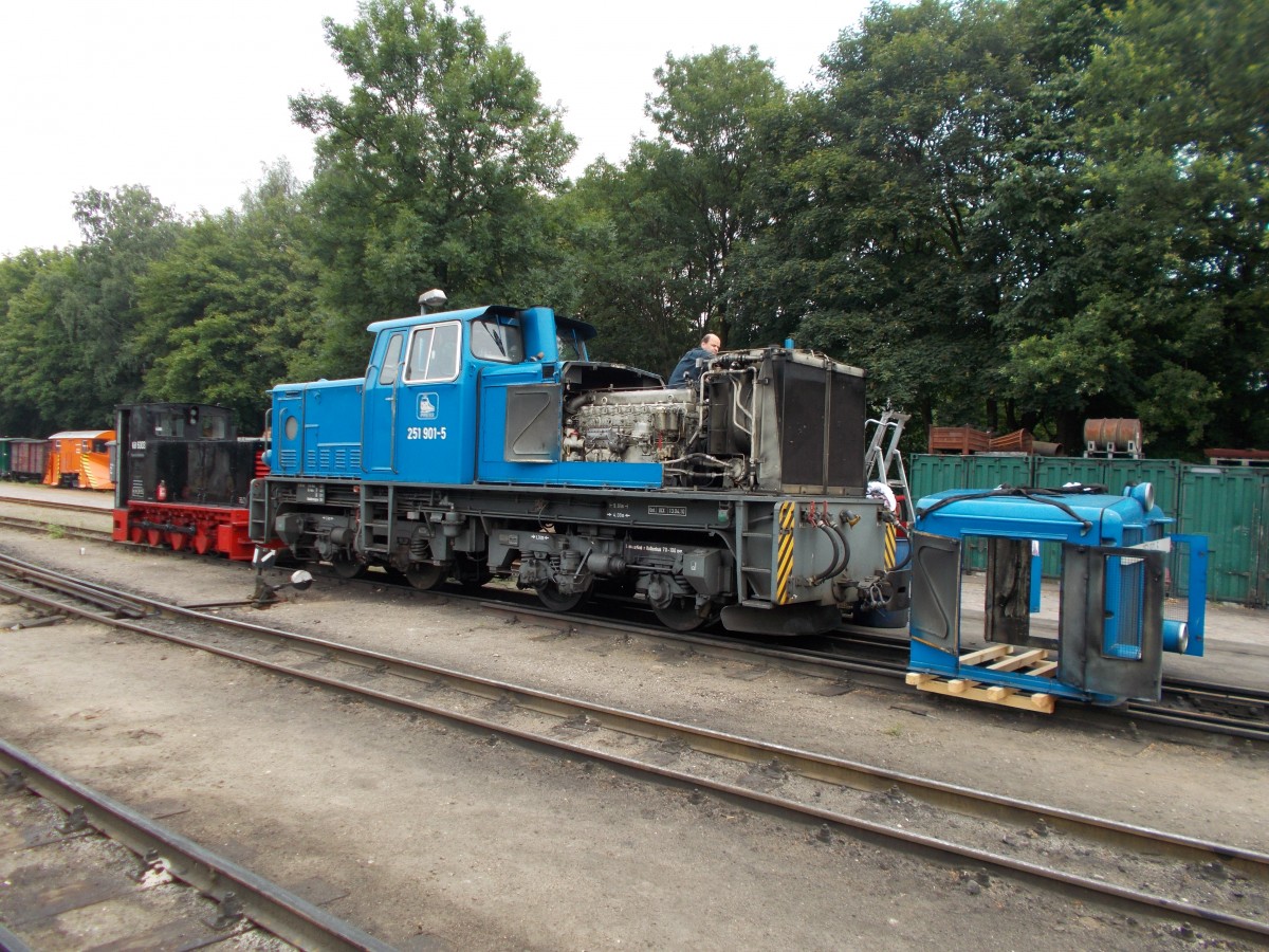 Köf 6003 und 251 901,am 28.Juli 2014,in Putbus.