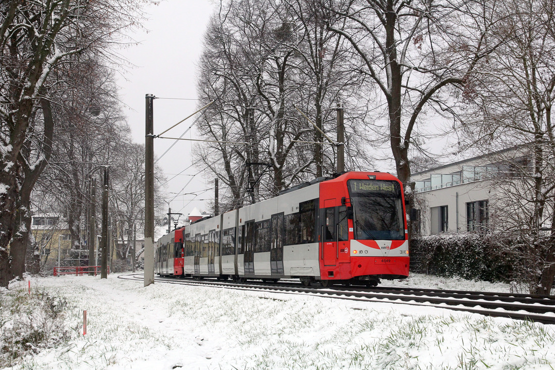 Kölner Verkehrs-Betriebe 4549 + 4561 // Bergisch Gladbach (unweit der Haltestelle Kölner Straße) //  17. Januar 2021