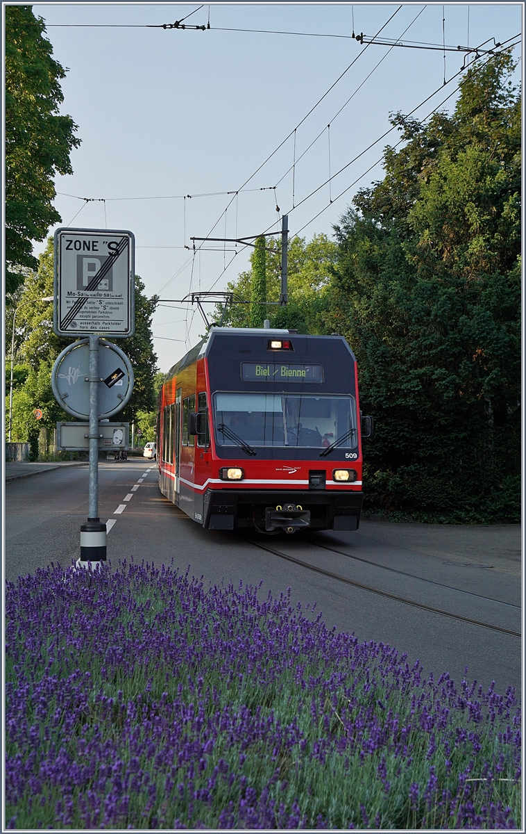 Konnte ich die GTW Be 2/6 bis vor kurzem praktisch vor der Haustür fotografieren, muss ich neuerdings eine etwas weitere Reise auf mich nehmen um diese Fahrzeuge zu sehen: Der asm GTW Be 2/6 509 erreicht sein Ziel Biel/Biene.
22. Juni 2017