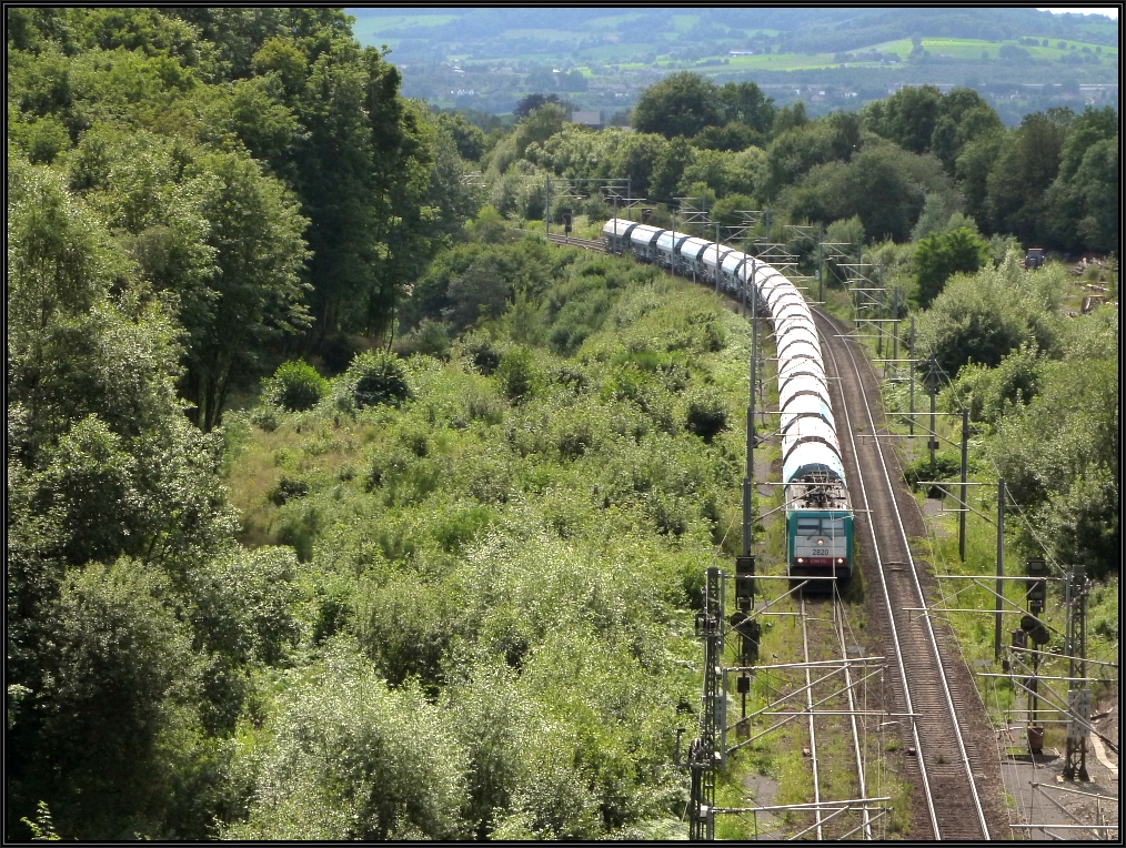 Kräftige Grüntöne soweit das Auge reicht.Die belgische Cobra samt Güterzug passt sich an den Farben der Natur an. Szenario am Dreiländereck bei Gemmenich (B), Anfang August 2012. Hier der Blick auf die Montzenroute.