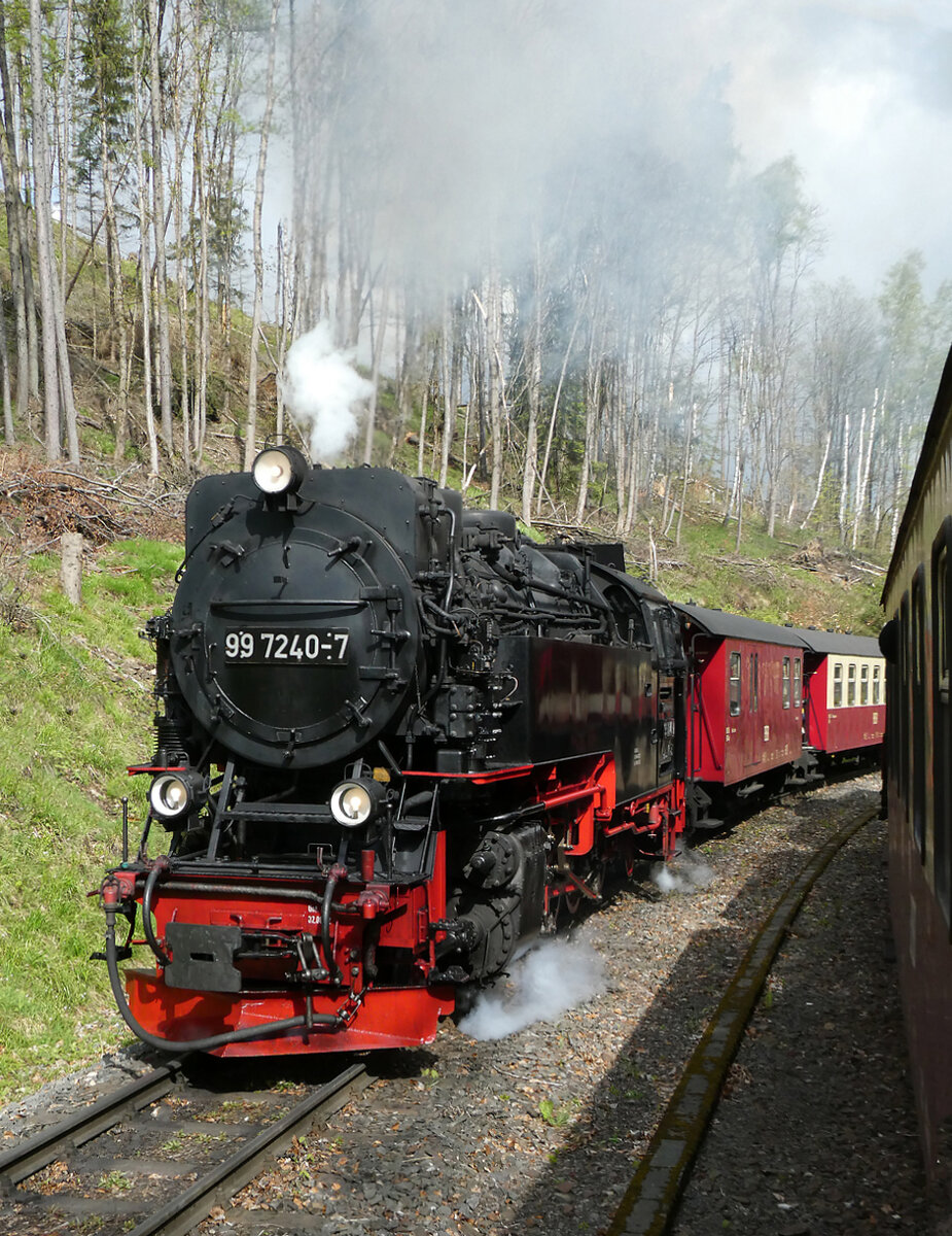 Kreuzung zwischen Drei Annen Hohne und Steinerne Renne: unser Dieselzug kreuzt mit dem Dampfzug auf den Brocken. Wernigerode, 18.4.2024