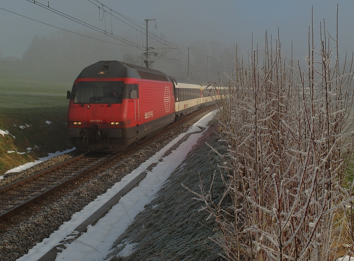 Kurz bevor Re 460 039-1 mit dem IR 2118, Konstanz - Biel, am 06.01.2015 in Berg/TG vorbeifuhr, begann sich zum Leidwesen des Fotografen der bis zu diesem Zeitpunkt nur über dem Thurtal hängende Nebel den Seerücken hinaufzuziehen.