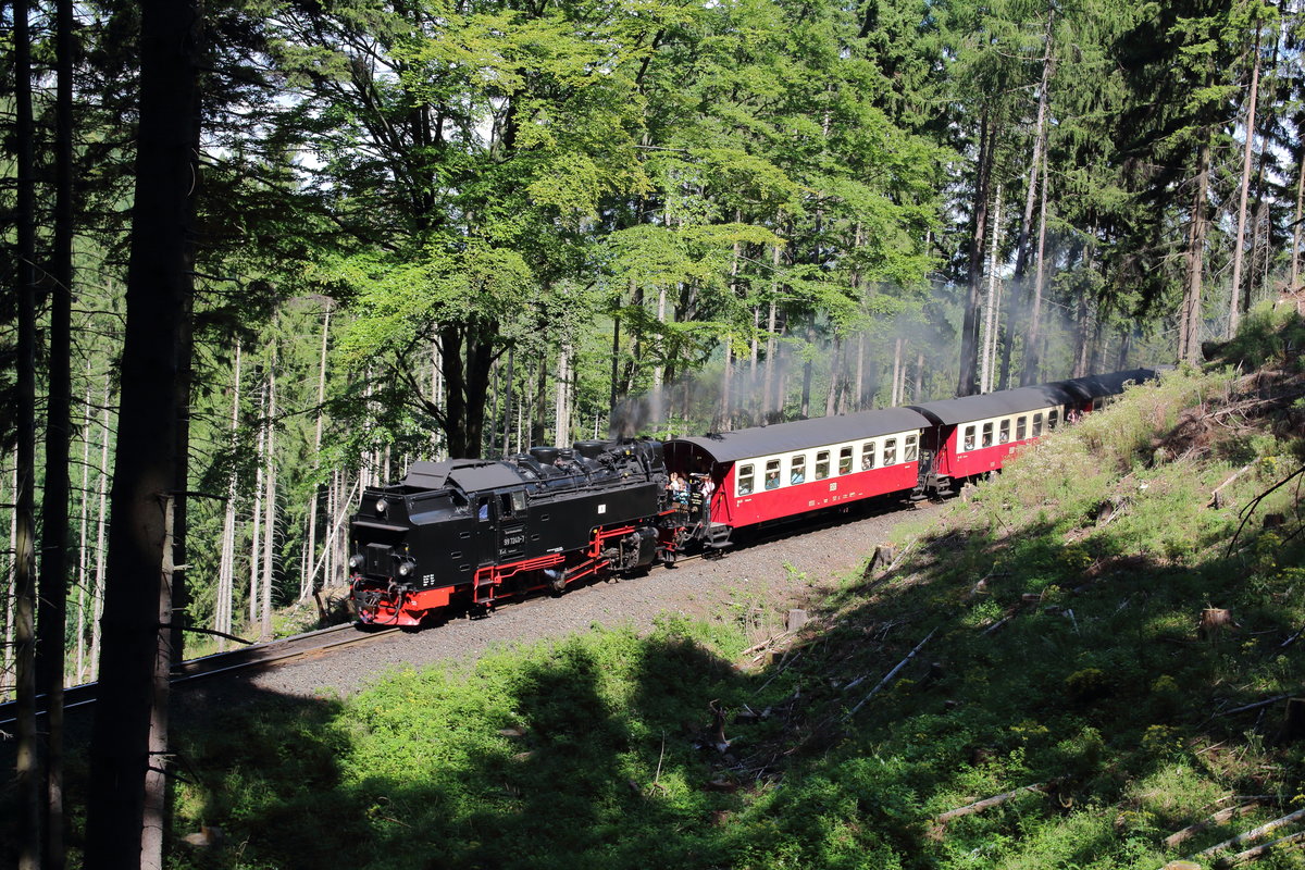 Kurz hinter dem einzigen Tunnel der HSB, der sogar auch der einzige Schmalspurtunnel in den neuen Bundesländern ist, rollt P8930 (Brocken - Wernigerode) durch Thumkhulental. Nicht zu sehen, aber im Zug vertreten ist wieder einmal Kollege Fiedler, der einen Böschungsbrand am Brocken beobachten konnte, weshalb alle Züge verspätet fuhren.

Thumkhulental, 09. August 2017