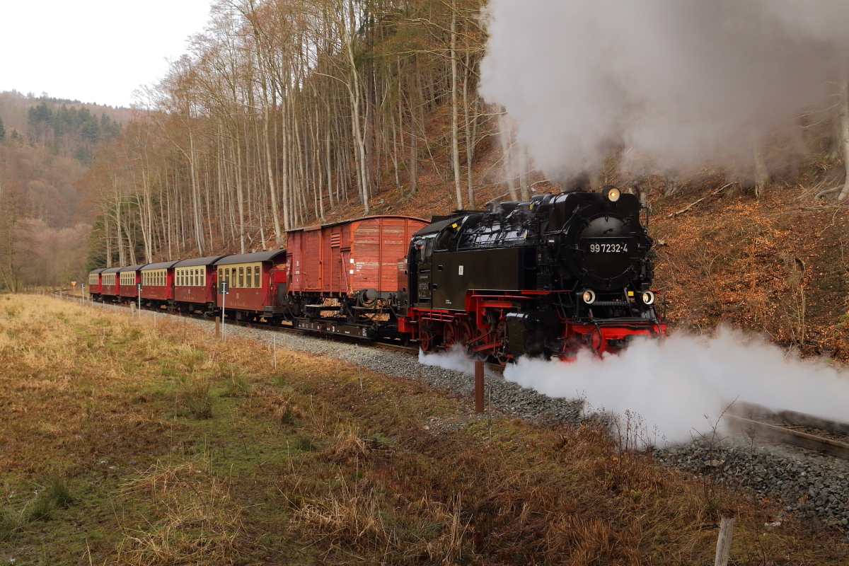 Kurz vor dem Haltepunkt Netzkater gab es am Mittag des 25.02.2017 die nächste Scheinanfahrt für 99 7232 mit ihrem IG HSB-Sonder-PmG (Wernigerode-Nordhausen-Hasselfelde), wofür hier soeben zurückgesetzt wird.