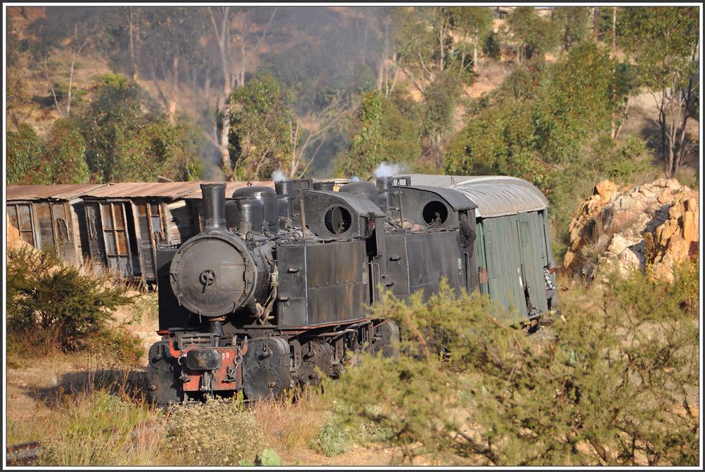 Kurz vor dem Summit windet sich der Zug mit den 442.59 und 44w2.55 die letzten Kurven hinauf. (10.12.2014)