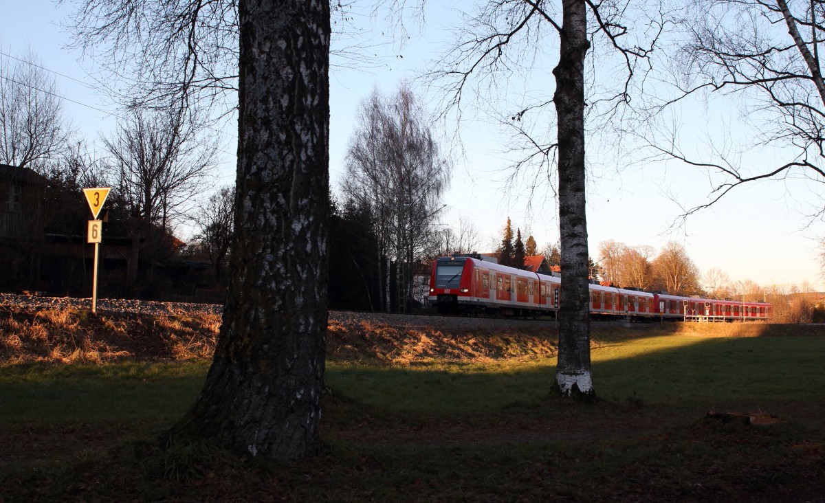 Kurz vor dem Untergang der Abendsonne am 23. Dezember 2013 konnte bei Grafing 423 610-5 als S4 von Ebersberg nach Geltendorf fotografiert werden.