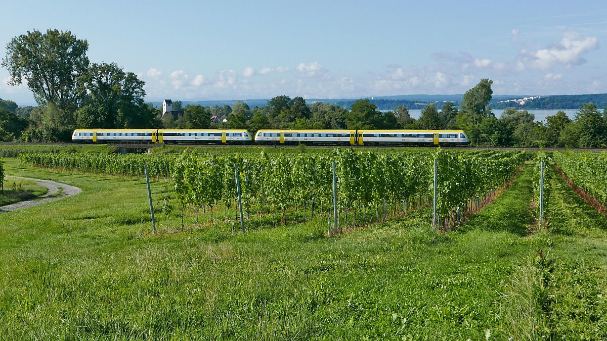 Kurz vor der ehemaligen Haltestelle Birnau-Maurach befinden sich am 16.08.2019 zwei Triebwagen der Baureihe 612 als IRE 3042 auf der Fahrt von Ulm nach Basel Bad Bf.