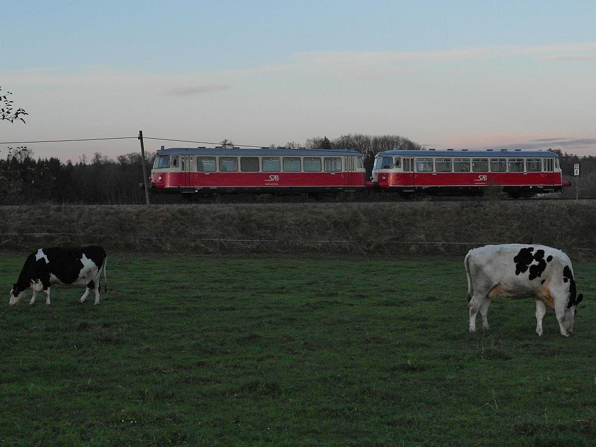 Kurz vor Einsetzen der Dmmerung unternehmen die MAN-Triebwagen VS 14 und VT 8 der SAB die letzte Sonderfahrt von Aulendorf nach Pfullendorf. Die Aufnahme entstand am 16.11.2014 bei Blnried, wenige Minuten nachdem der Schienenbus in Aulendorf abgefahren ist.