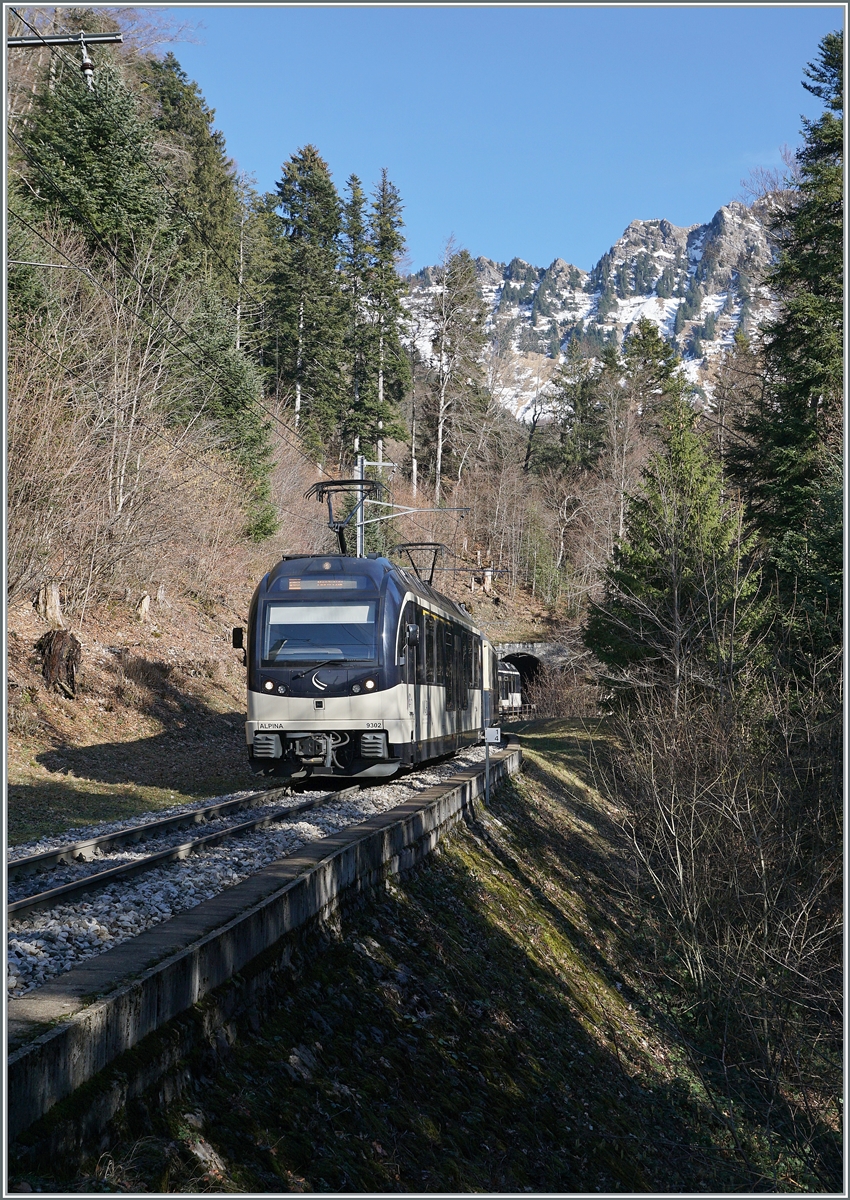 Kurz vor Les Avants ist der MOB ABe 4/4 9302 (und am Zugschluss ein weiter  Alpina  Serie 9000) mit dem Belle Epoque Zug auf dem Weg von Zweisimmen nach Montreux. 

28. Januar 2024