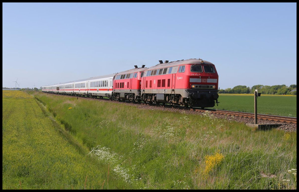 Kurz vor Niebüll sind hier 218473-7 und 218321-8 am 29.5.2020 um 15.57 Uhr mit einem Intercity aus Westerland nach Hamburg unterwegs.